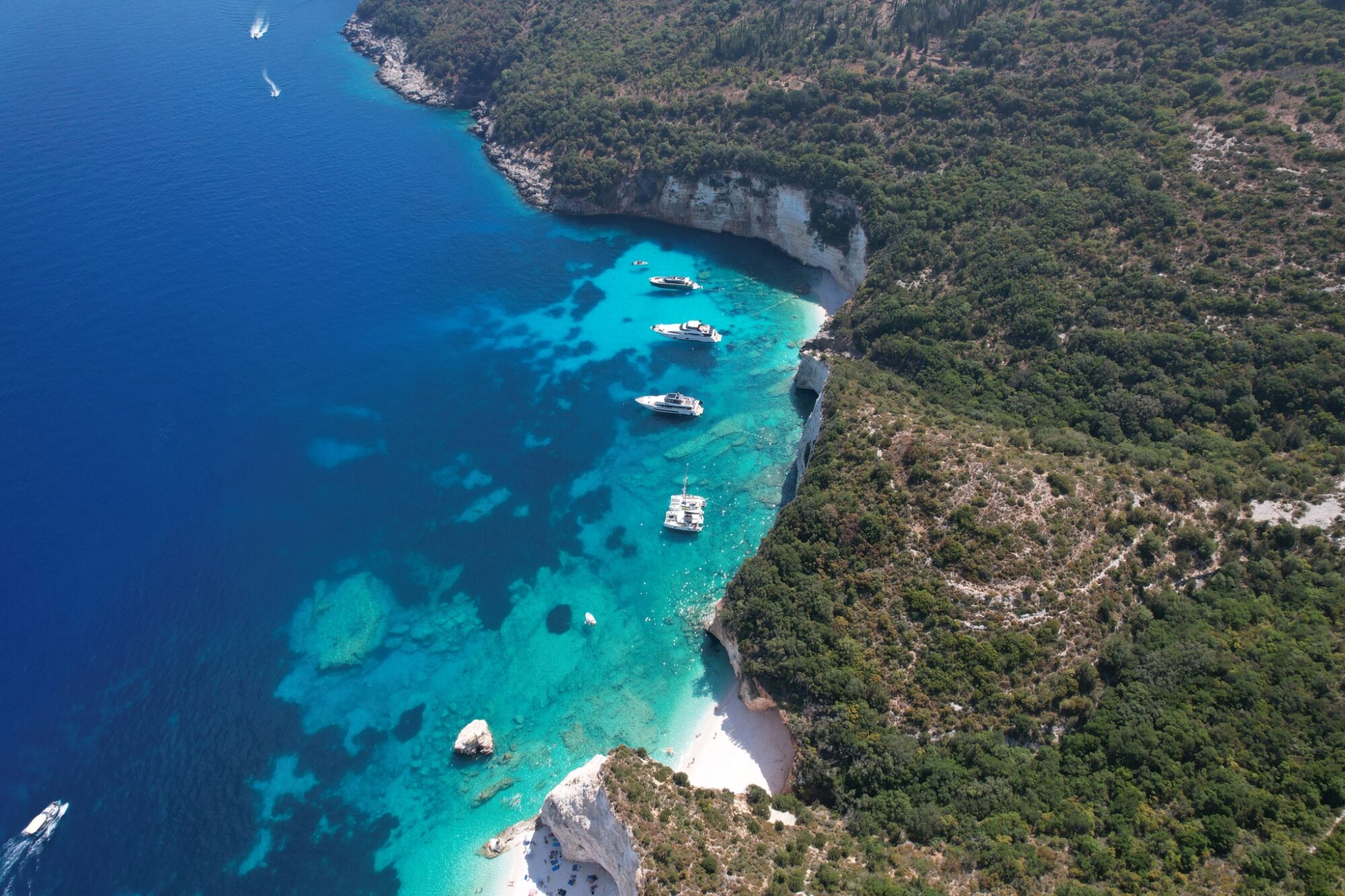 Concierge Services 5 Boat Trips