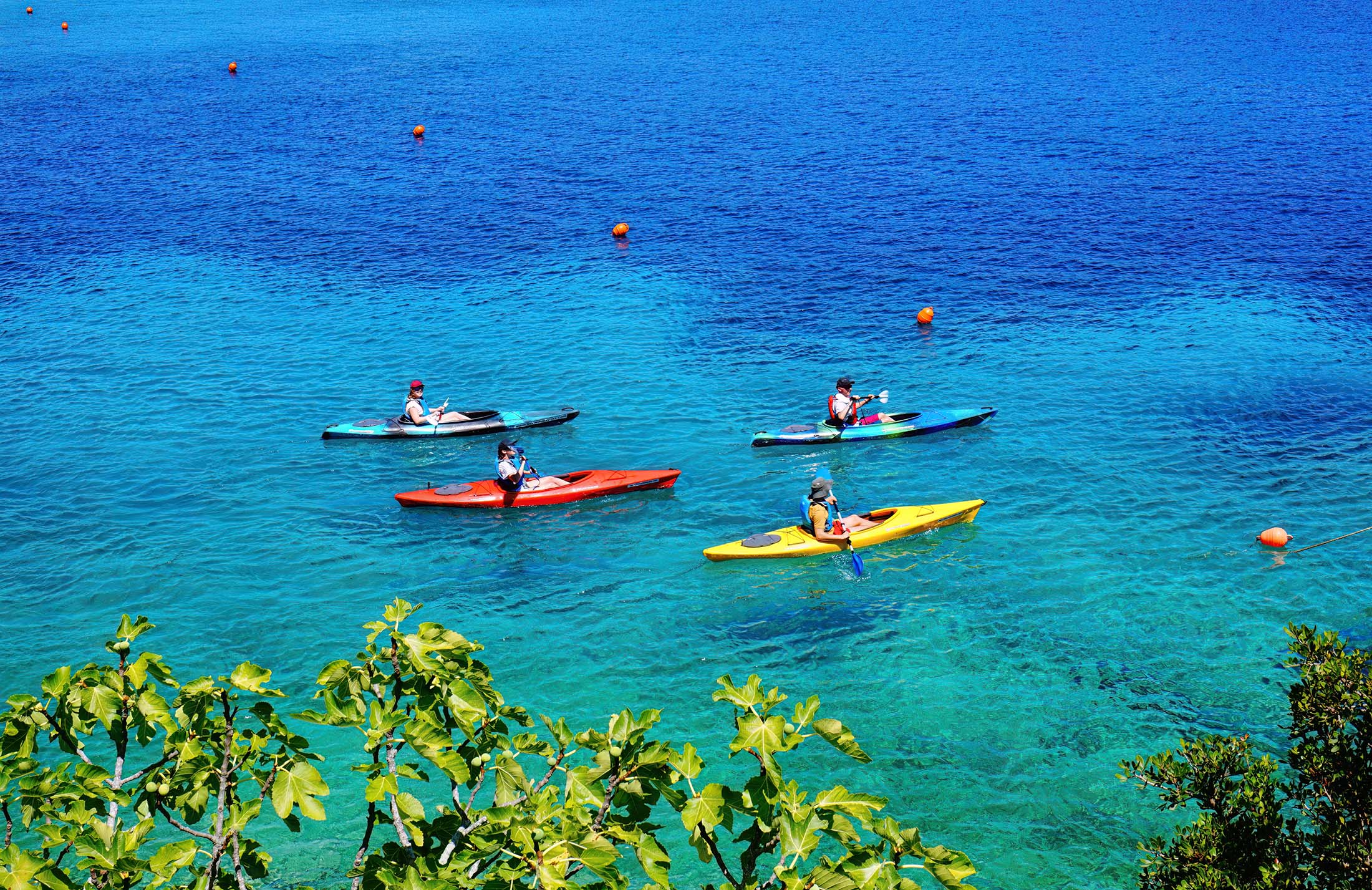 Concierge Services 2 Kayaking & Paddle Adventures